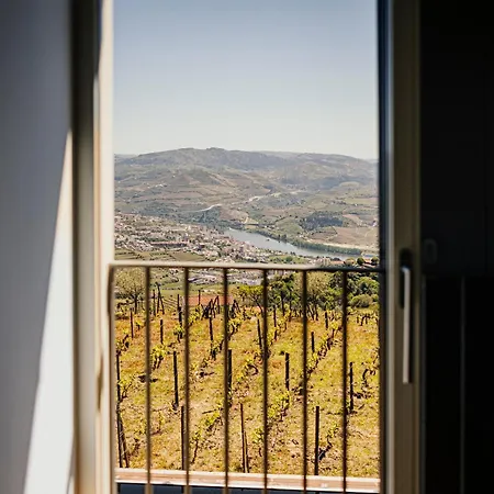 Casa Da Quinta De Santa Cruz - Private Pool - Douro Valley - By Met * Loureiro (Vila Real)