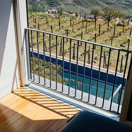 Casa Da Quinta De Santa Cruz - Private Pool - Douro Valley - By Met * Loureiro (Vila Real)