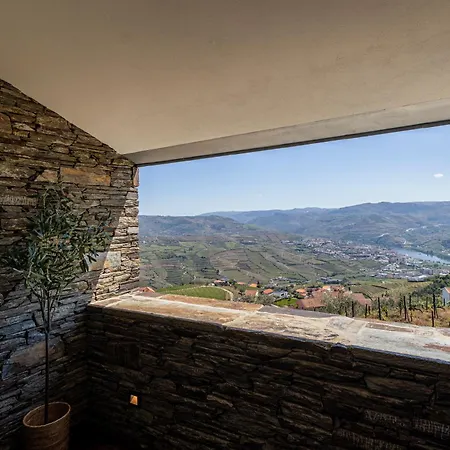 Casa Da Quinta De Santa Cruz - Private Pool - Douro Valley - By Met Loureiro (Vila Real)