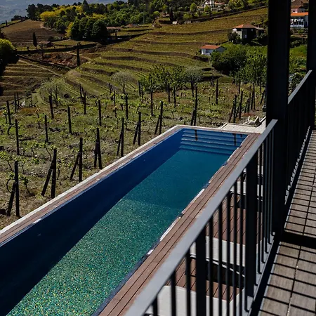 Casa Da Quinta De Santa Cruz - Private Pool - Douro Valley - By Met